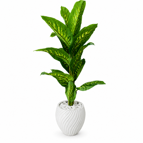 Dieffenbachia Artificielle Premium