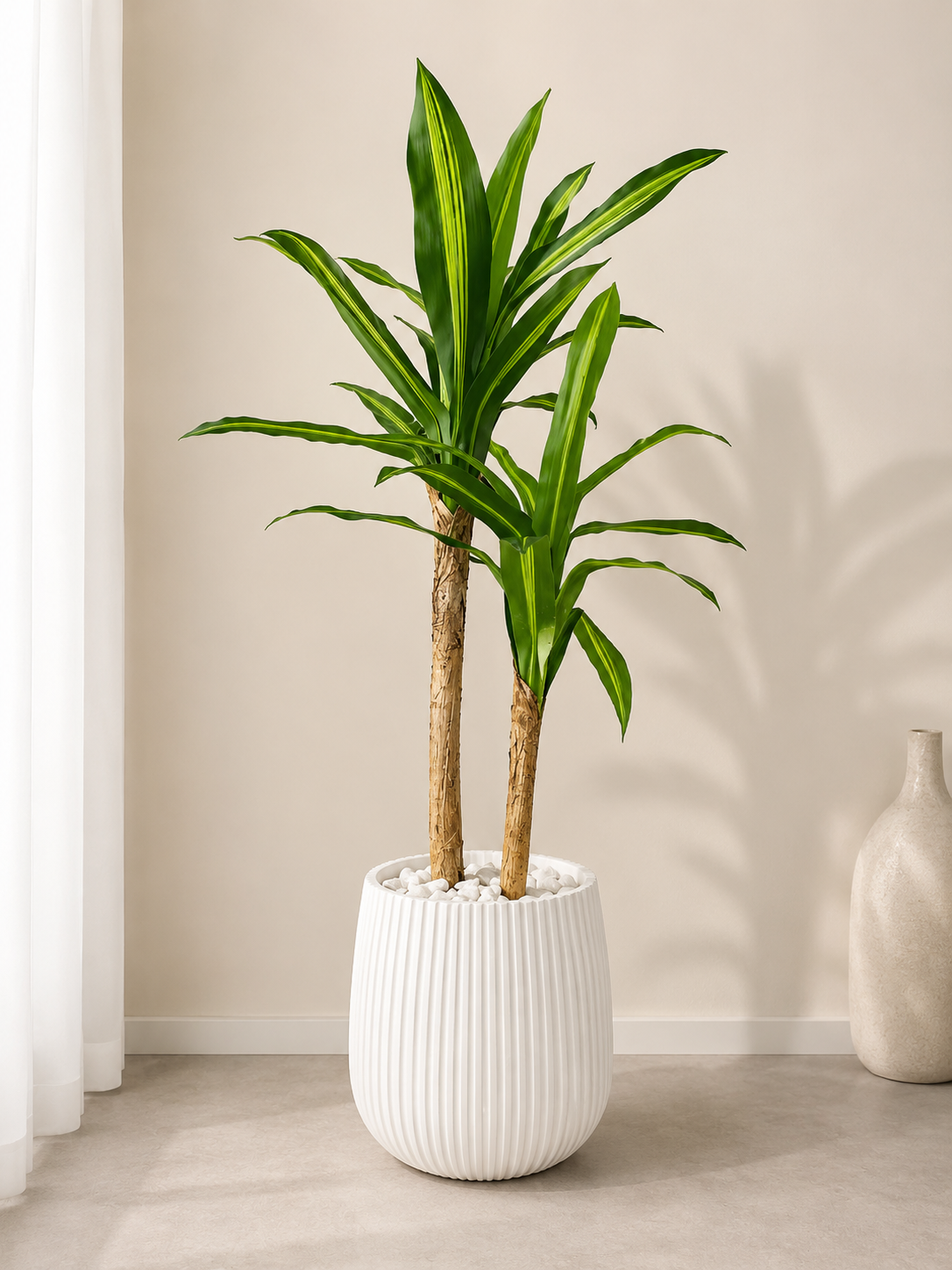 Yucca Artificielle Premium