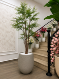 Acacia Artificielle Premium