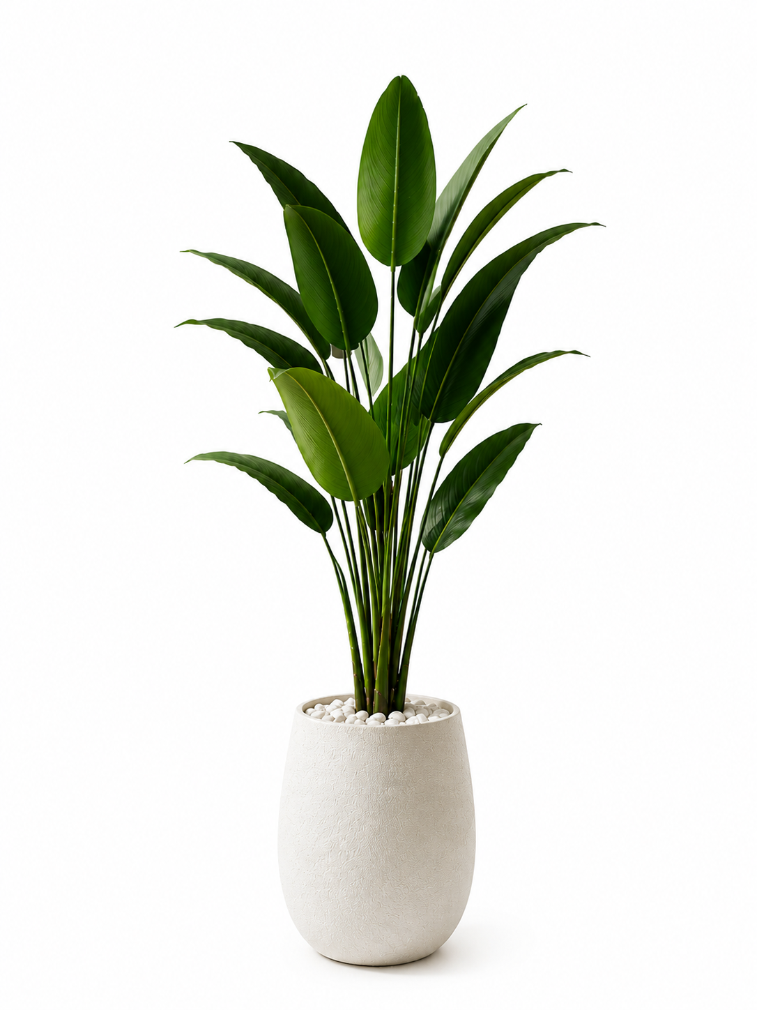 Plante Artificielle Dracaena Premium