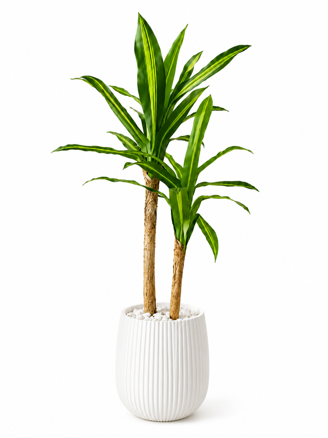 Yucca Artificielle Premium