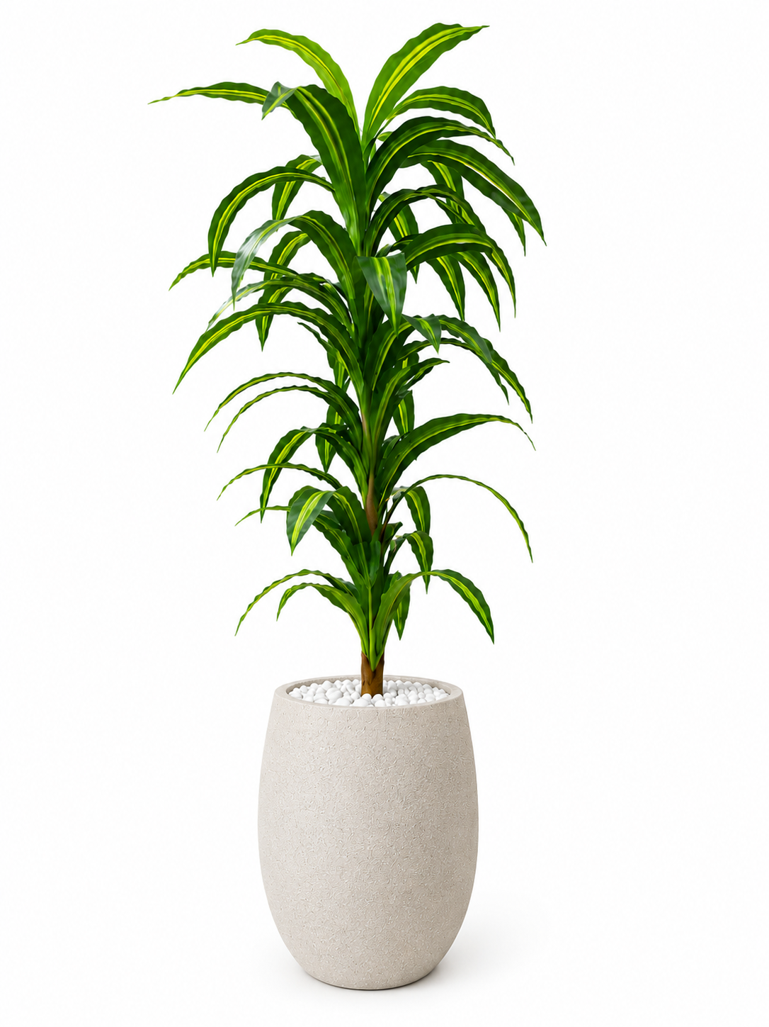 Dracaena Artificielle