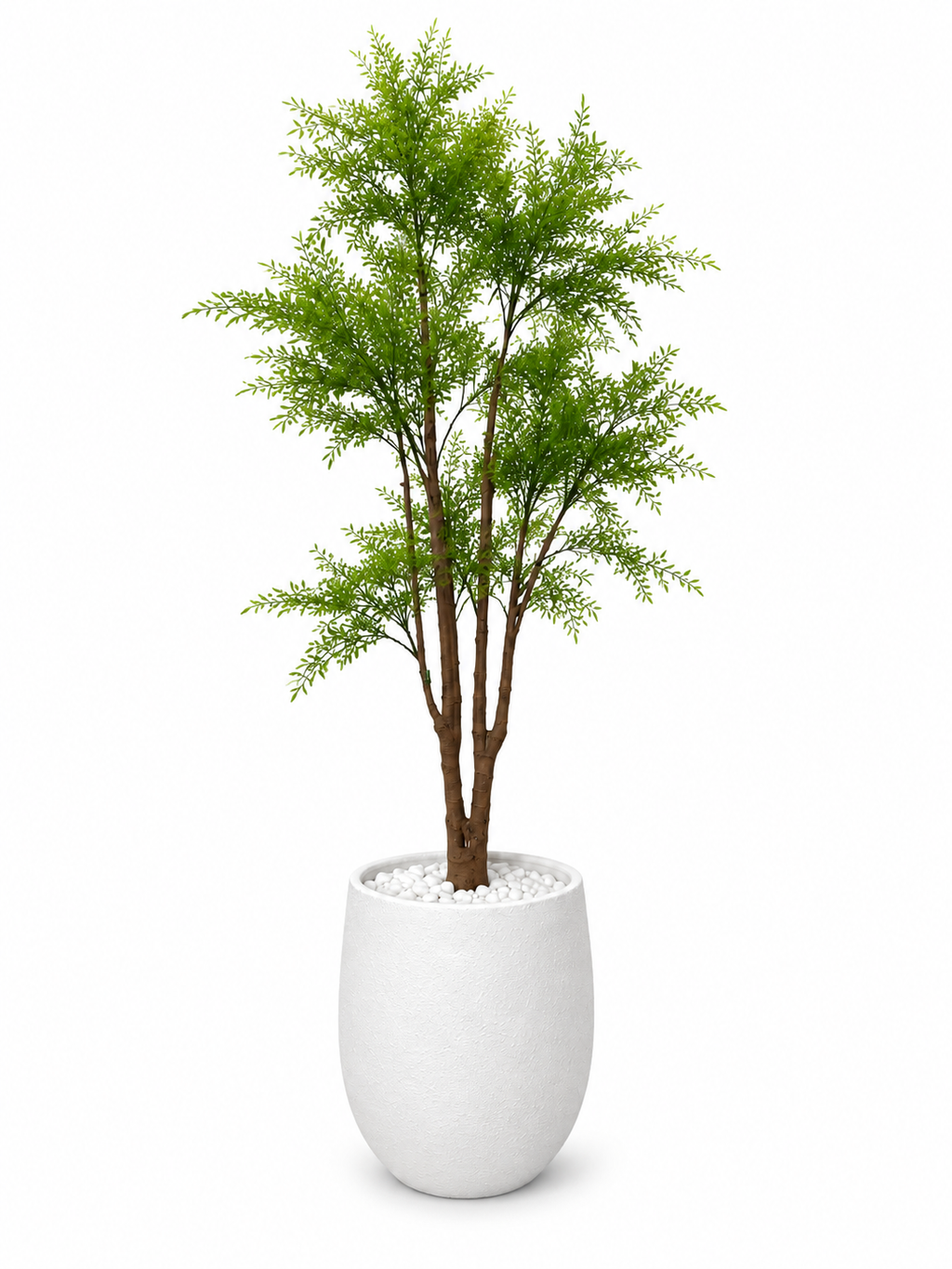 Acacia Artificielle Premium