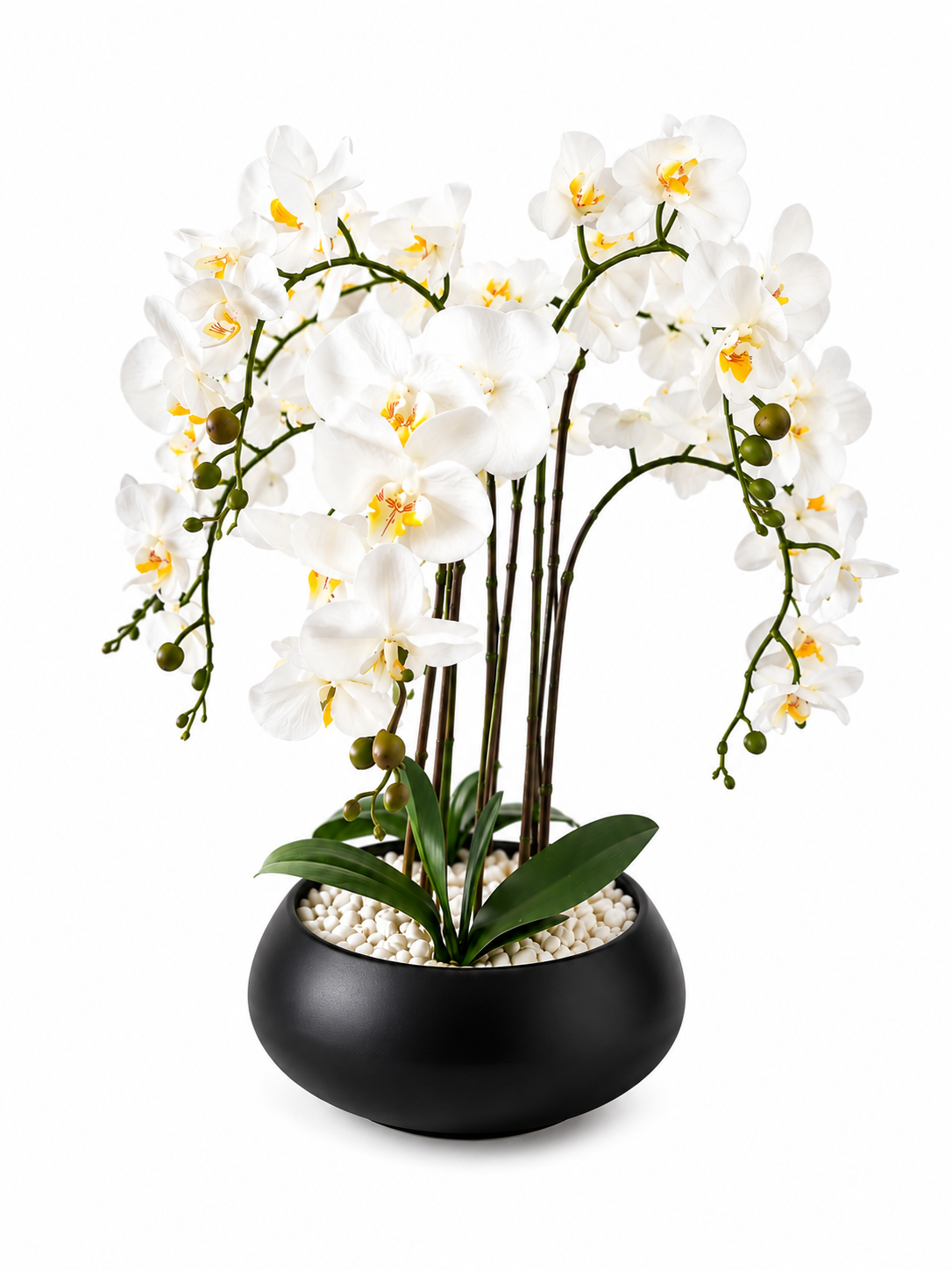 Orchidée Artificielle Premium