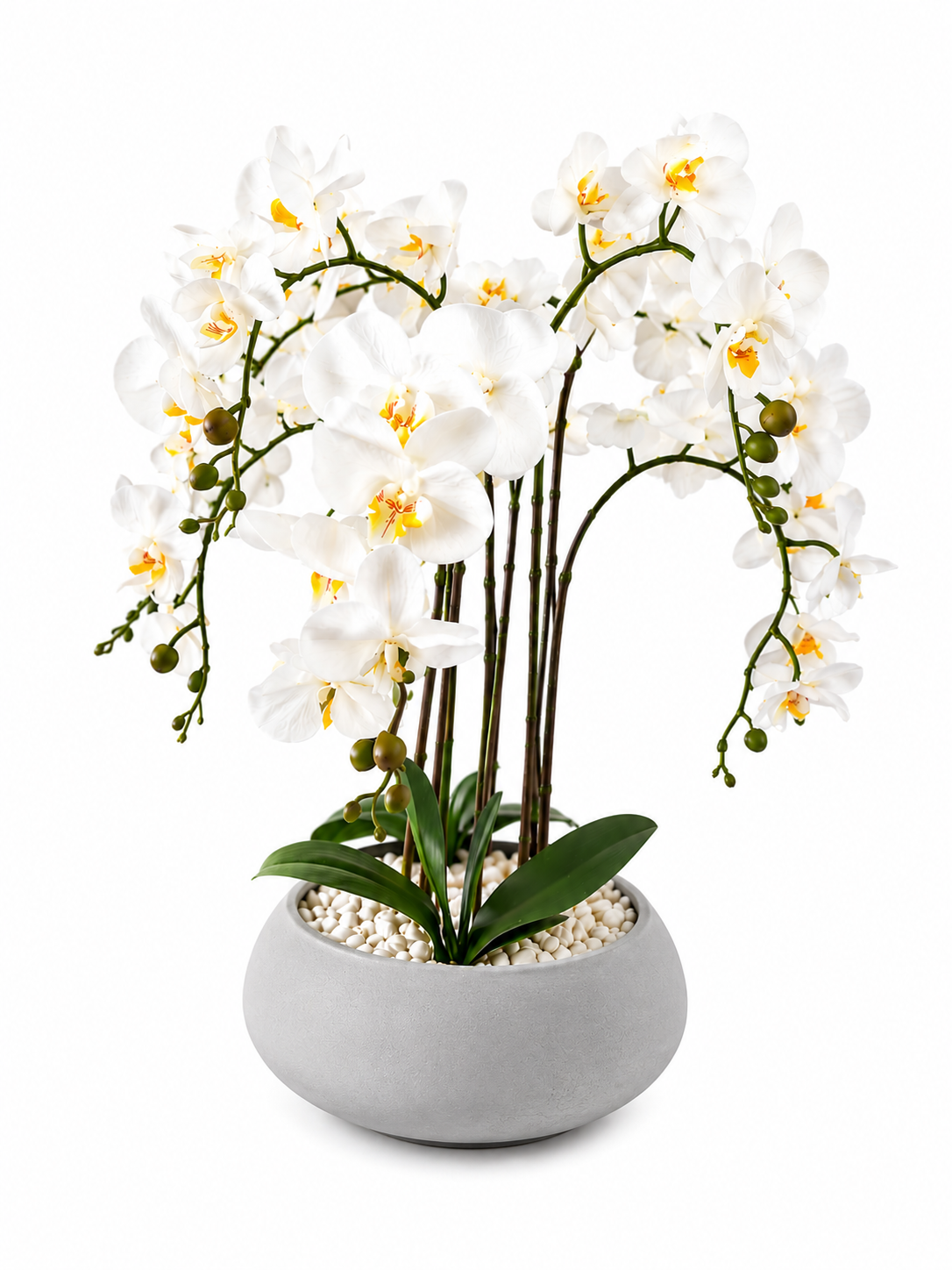 Orchidée Artificielle Premium