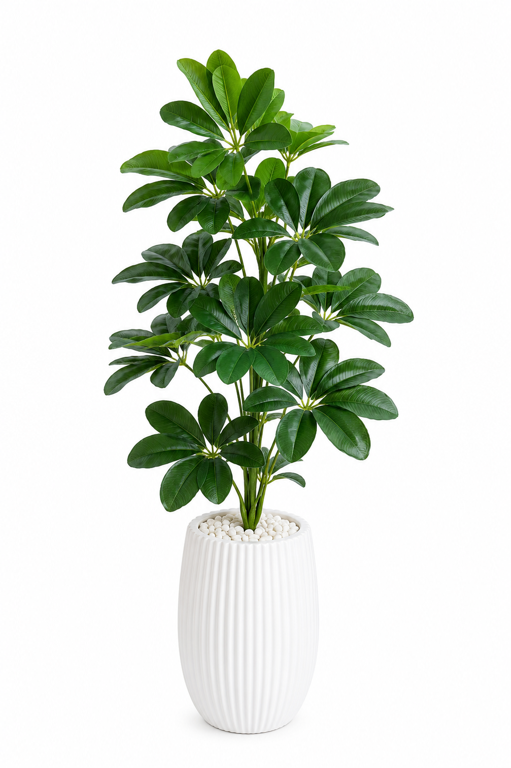 Plante Artificielle Fatsia Japonica