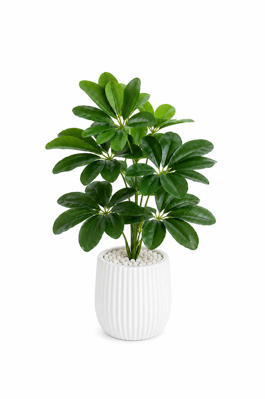 Plante Artificielle Schefflera